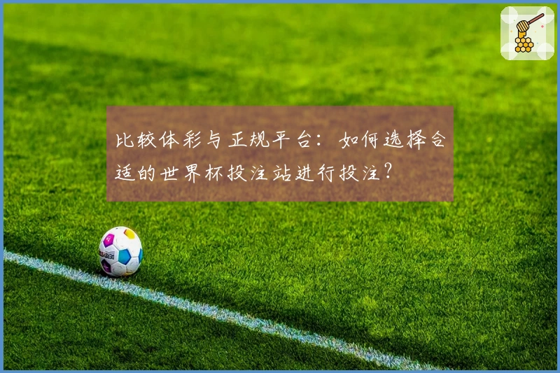 比较体彩与正规平台：如何选择合适的世界杯投注站进行投注？