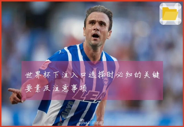 世界杯下注入口选择时必知的关键要素及注意事项