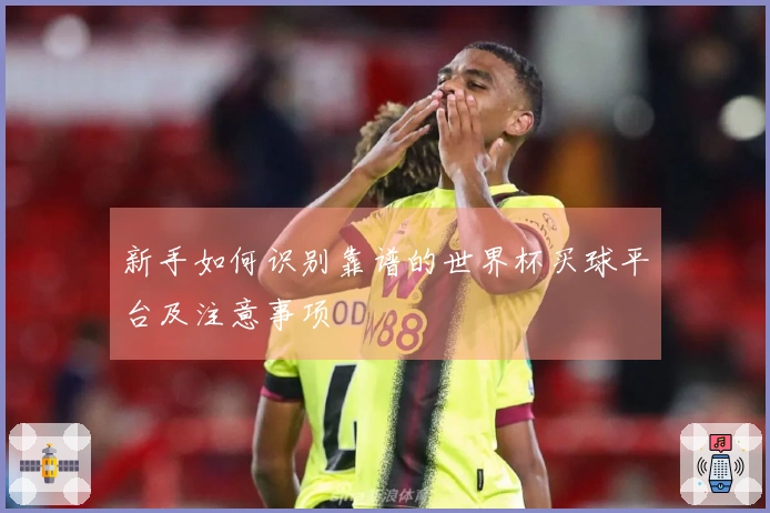 新手如何识别靠谱的世界杯买球平台及注意事项