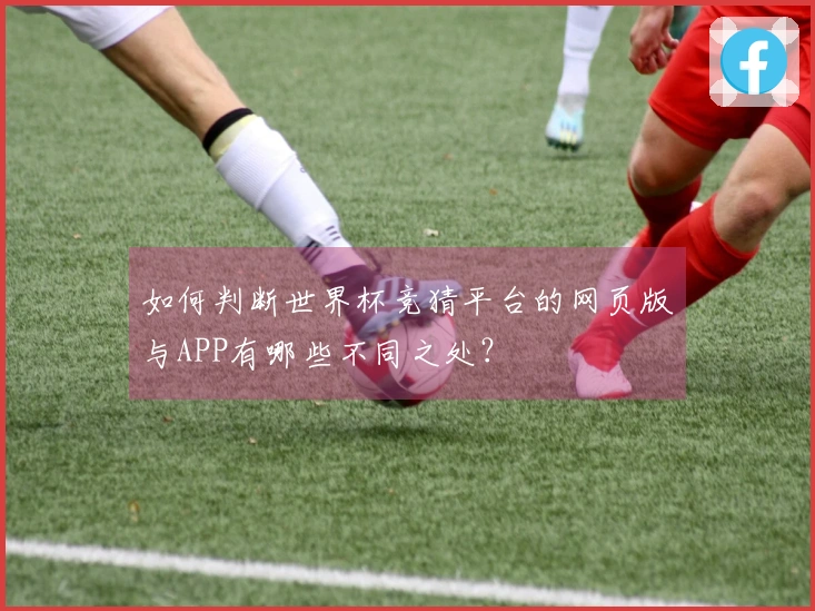 如何判断世界杯竞猜平台的网页版与APP有哪些不同之处？