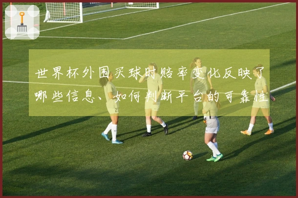 世界杯外围买球时赔率变化反映了哪些信息、如何判断平台的可靠性
