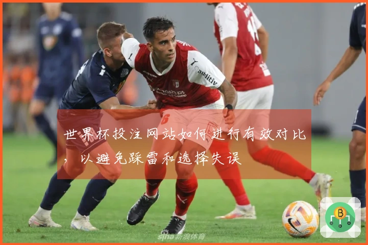 世界杯投注网站如何进行有效对比，以避免踩雷和选择失误