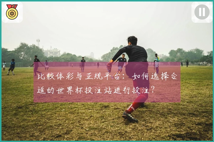 比较体彩与正规平台：如何选择合适的世界杯投注站进行投注？