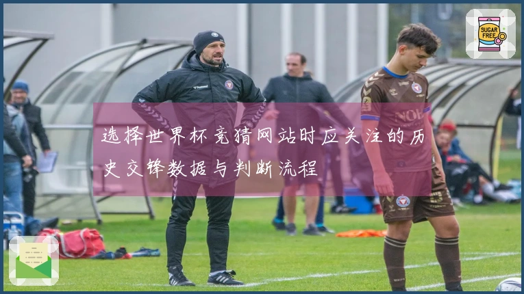 选择世界杯竞猜网站时应关注的历史交锋数据与判断流程