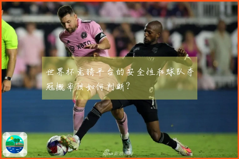 世界杯竞猜平台的安全性和球队夺冠概率该如何判断？