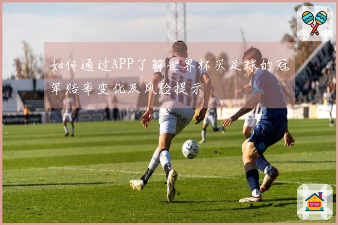 如何通过APP了解世界杯买足球的冠军赔率变化及风险提示