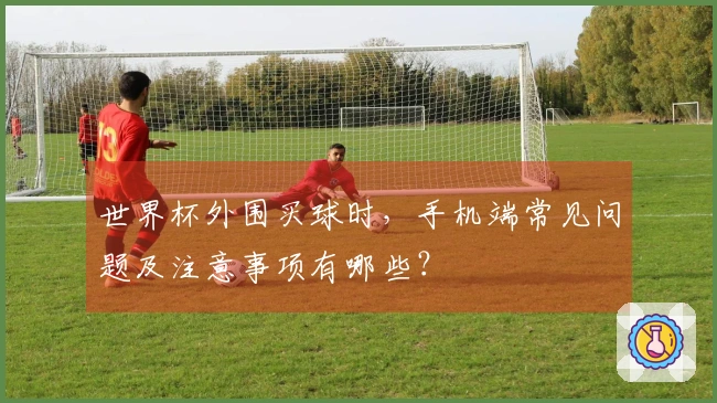 世界杯外围买球时，手机端常见问题及注意事项有哪些？