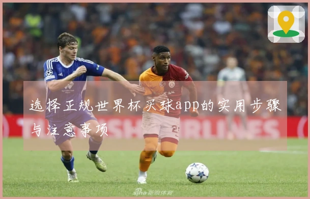 选择正规世界杯买球app的实用步骤与注意事项