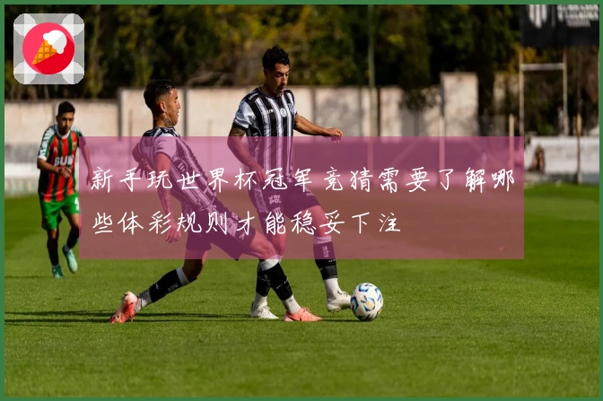 新手玩世界杯冠军竞猜需要了解哪些体彩规则才能稳妥下注