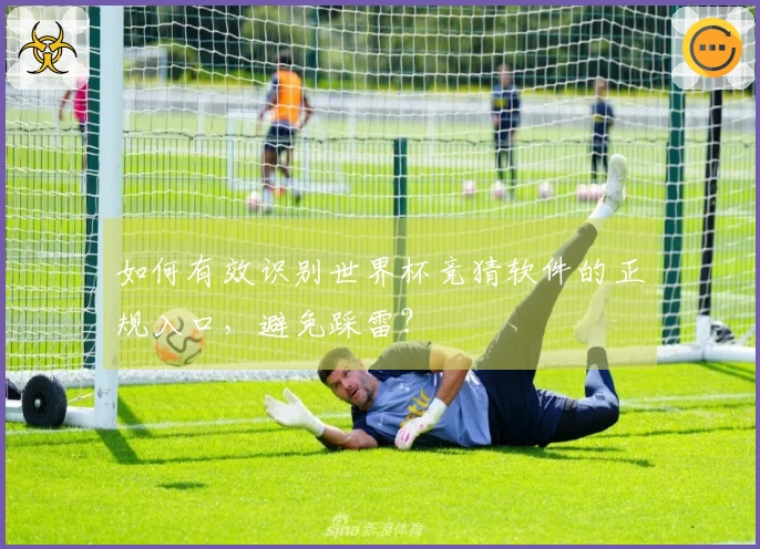 如何有效识别世界杯竞猜软件的正规入口，避免踩雷？