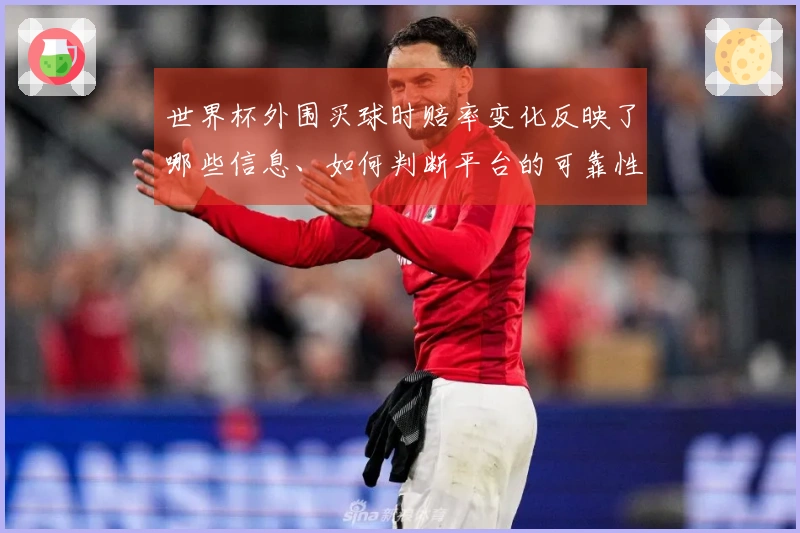 世界杯外围买球时赔率变化反映了哪些信息、如何判断平台的可靠性