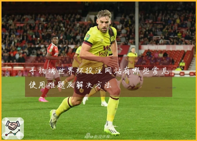 手机端世界杯投注网站有哪些常见使用难题及解决方法