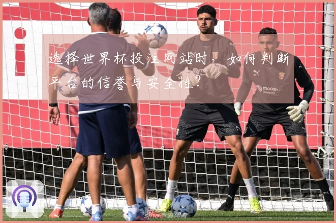 选择世界杯投注网站时，如何判断平台的信誉与安全性？