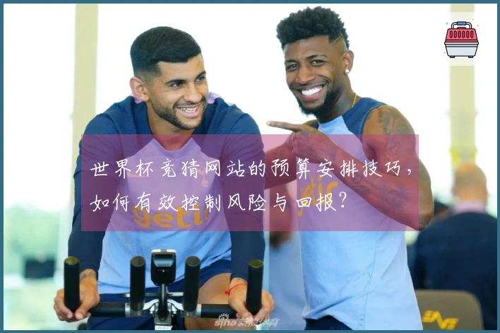 世界杯竞猜网站的预算安排技巧，如何有效控制风险与回报？